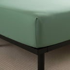Solid Sage Green Bedsheet - Includes 2 Pillow Covers